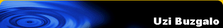 Uzi Buzgalo